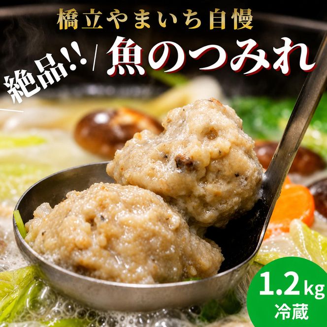 橋立やまいち自慢の魚のつみれ 4パックセット（冷蔵）1200g つみれ 魚 鍋 京都府 宮津市 myz02 myz11 myz17