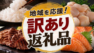 訳あり返礼品