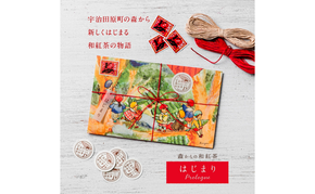 森からの和紅茶　はじまり5セット（15袋入）〈紅茶 お茶 茶 茶葉 和紅茶ティーバッグ 飲料〉