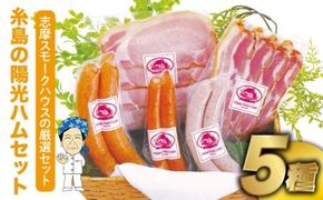 【年内発送】 ＼DLG金賞・銀賞受賞！／糸島の陽光 ハム 5種 セット 4 《糸島》 【志摩スモークハウス】ハム ソーセージ 食べ比べ [AOA004] 詰め合わせ ギフト ソーセージ ハム 詰め合わせ