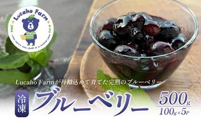 ブルーベリー Lucaho Farm 100g×5p 香川県産 冷凍ブルーベリー 冷凍ブルーベリー フルーツ 果物 くだもの 旬のフルーツ 旬の果物 冷凍 香川 香川県 東かがわ市
