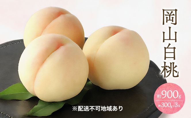 桃 2026年 先行予約 白桃 3玉 合計約900g （1玉約300g） もも モモ 岡山 国産 フルーツ 果物 ギフト 桃茂実苑