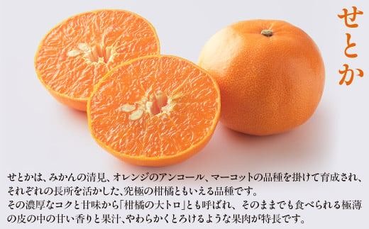 【先行予約】せとか5kg ※離島への配送不可 （2027年2月10日より順次発送予定） IKTAG004 