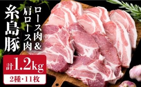 [合計11枚]とんかつ用セット 糸島豚ロース肉 約100g×6枚 / 肩ロース 約120g×5枚 豚肉 [糸島][糸島ミートデリ工房] [ACA228] 国産 糸島 豚肉 豚 ロース 肩ロース トンカツ トンテキ 豚ステーキ