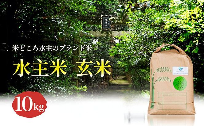 令和8年新米エコファーマー認定農家の地域ブランド米(水主米) 玄米10kg お米 コシヒカリ 香川県 香川 東かがわ市