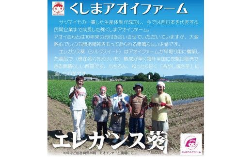 【全6回】毎月1種類ずつ届く 冷やし焼き芋定期便 約1kg×6回（計3種） 【ジャパンフードセレクション 金賞】 芋スイーツ H047-065
