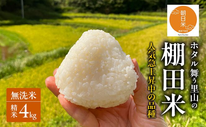 先行受付 ホタル舞う里山の棚田米 無洗米 精米4kg 令和8年産 にじのきらめき2kg×2袋