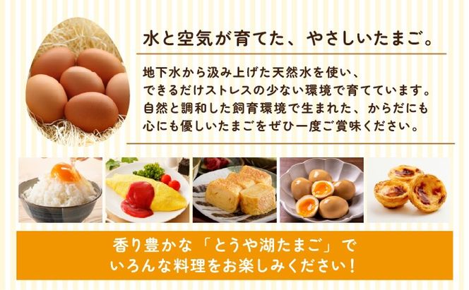 【3ヵ月 定期便】 北海道 伊達市 とうや湖 卵  20個 入り たまご