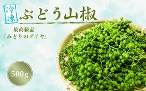  冷凍 ぶどう山椒 山椒 選べる容量 500g / 生山椒 生実山椒 さんしょう 香辛料 調味料 薬味 和歌山 紀美野【twn044-cbudo-500】