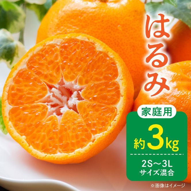 【2027年先行予約】家庭用 訳あり はるみ 和歌山 有田 2S～3Lサイズ混合 約3kg_DZ6229
