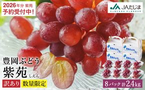 【2026年先行予約】数量限定 訳あり 豊岡ぶどう「紫苑」 約300g×8パック／ 紫苑  しえん ブドウ 葡萄 訳ありぶどう 大粒 強い甘み 爽やかな酸味 新鮮 果物 産地直送 くだもの フルーツ 上品 香り