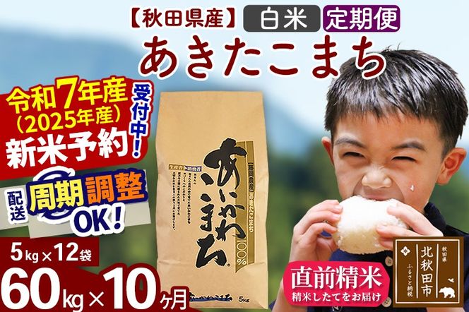 yHckHcszߘa7NY Vė\񁦁s10tHcY ܂ 60kgyāz(5kg) 2025NY ͂Iׂ ͂\ uɒOK  _Y|foap-11310