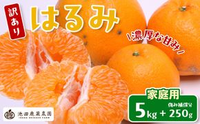 ［先行予約］家庭用 はるみ5kg+250g（傷み補償分）［デコポンの姉妹品種・新食感春みかん］［わけあり・訳あり］ CZ098