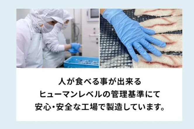 UMINO PET サメ肉ジャーキー 40g×5個 [石渡商店 宮城県 気仙沼市 20563954] ペットフード ドッグフード 犬 いぬ 犬用 ペット おやつ オヤツ 国産 ジャーキー 気仙沼産 サメ 鮫 