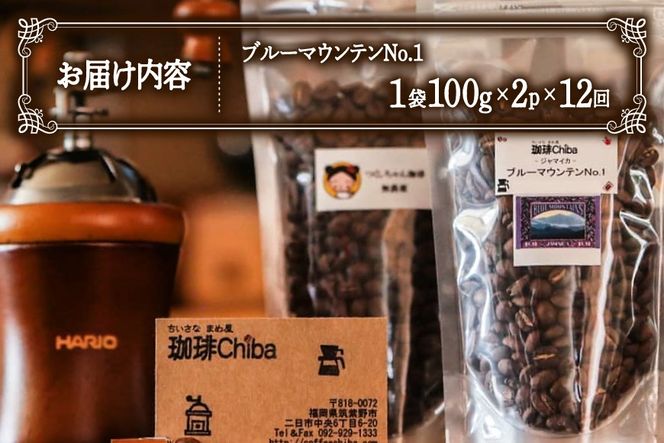 【12回定期便】 コーヒー豆 ブルーマウンテン 100g 2パック [珈琲Chiba 福岡県 筑紫野市 21761423] コーヒー 珈琲 豆 珈琲豆 セット ブルーマウンテンNo.1 ブルマン 豆のまま おいしい coffee bean beans 定期 定期便 12ヶ月 12回