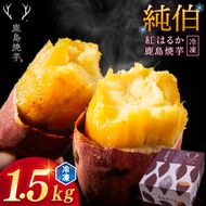 ★事業者支援★ 訳あり 冷凍 焼芋 「ひゃっこい 鹿島焼芋 純伯 1.5kg（500g×3袋）」 数量限定 【冷凍 冷凍やきいも 冷凍焼き芋 冷やし 焼き芋 やきいも さつまいも 紅はるか 芋 お菓子 おやつ デザート スイーツ 和菓子 和スイーツ 鹿嶋市 茨城県】（KBK-23-2）