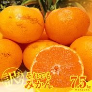 【2026年先行予約】訳あり それでも みかん 箱込 7.5kg ( 内容量 6.8kg ) サイズミックス Ｂ品 有田みかん 和歌山県産 産地直送 家庭用【みかんの会】_MK1049