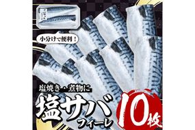 塩サバフィーレ(10枚・計約1.25kg)鯖 さば 塩焼き 煮物 小分け 魚 海産物 冷凍【E-29】【水永水産】