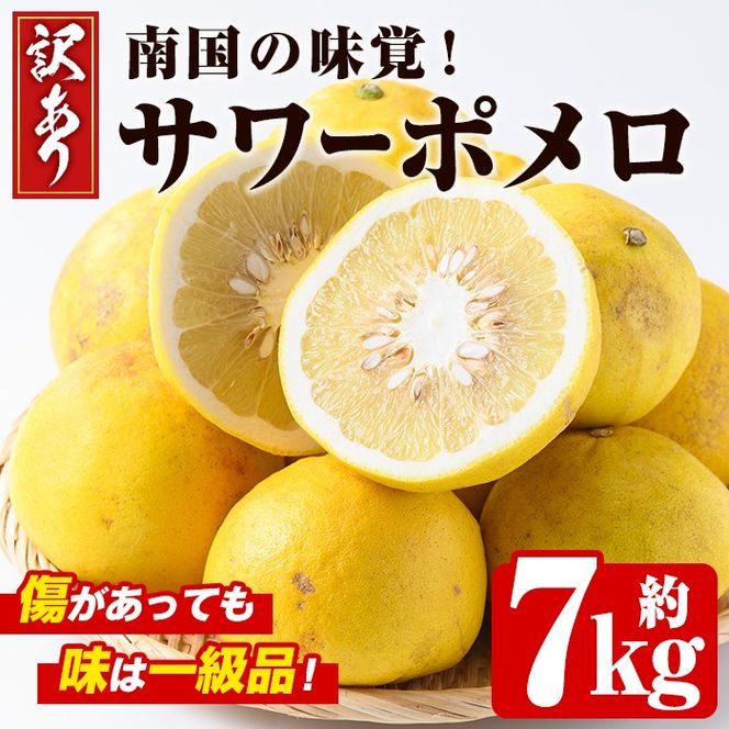 yvszs\tI2026N2{ȍ~\聄󂠂E聄ʌIT[|(7kg) Y t[c ʕ k T[| Ö _ fU[g  󂠂yȂނʎzakn014-01