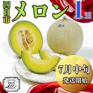 【先行予約】阿部夫妻が愛情をこめたマスクメロン（1個入）【7月中旬発送開始】
