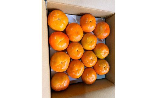 和歌山秋の味覚　富有柿　約4kg　化粧箱入【uot703】