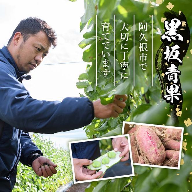 ＜先行予約受付中！2027年1月中旬以降順次発送予定＞ 期間限定！ばれいしょ(10kg) 馬鈴薯 じゃがいも ジャガイモ ポテト イモ 芋 野菜 旬 季節限定 秋馬鈴薯 国産 鹿児島県産 常温 肉じゃが ポテトサラダ フライドポテト 【黒坂青果】akn049-06