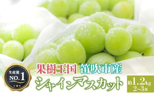 ＜25年発送先行予約＞人気 シャインマスカット 約1.2kg 2～3房　※沖縄県及び離島への配送はできませんので予めご了承ください。　※常温配送　126-002