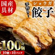 国産豚肉使用！手作りショウガ餃子(計100個・10個×10パック、たれ付き) 餃子 ぎょうざ ギョウザ ギョーザ しょうが 生姜 豚肉 おかず お惣菜【スーパーよしだ】akn058-07