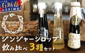 ジンジャーシロップ飲み⽐べ3種セット(120ML×3本) HW-1 【沖縄県石垣市 沖縄 沖縄県 琉球 八重山 八重山諸島 石垣 石垣島 送料無料 ⽯垣島産⽣姜 生姜 シロップ ジンジャー ジンジャーシロップ グラニュー糖 黒糖 砂糖 ⾚唐⾟⼦ 果汁 塩 ⽯垣の塩 レモングラス レモン フルーツ ミント ギフト 国産】