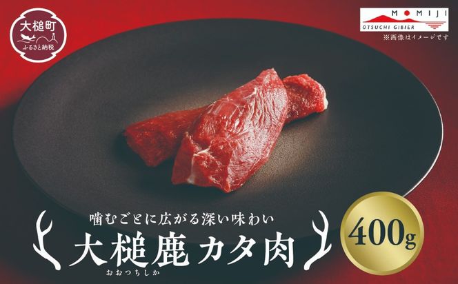 【ジビエ】大槌産 鹿肉（カタ肉 200g×1パック/200g×2パック計400g）｜岩手県 大槌ジビエ いわて iwate 三陸 MOMIJI