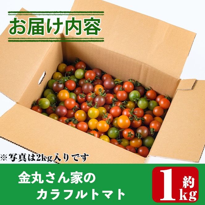 ＜先行予約受付中！2025年11月上旬から順次発送予定＞カラフルトマト食べ比べセット(約1kg) 国産 宮崎県産 とまと 野菜 サラダ 黄色 オレンジ みどり 紫 アイコ 赤 セレブスイート 【KT-9】【K.Tfarm】