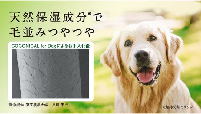 《絹生活研究所》COCONICAL for Dogシャンプー 犬 