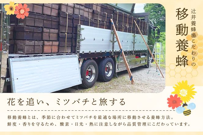 【国産純粋 マロニエはちみつ 250g ポリ容器】国産 純粋 マロニエ はちみつ ハチミツ 蜂蜜 栃の木 やさしい 香り まろやか パン ヨーグルト おすすめ 兵庫県 香美町 辻井養蜂場 81-01