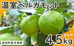 美浜町産温室ベルガモット　生果実『自宅用4.5kg入り』　※2025年11月上旬頃～2026年2月下旬頃に順次発送予定