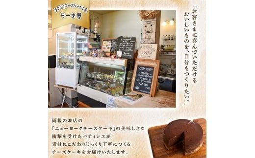 12回 定期便 チーズケーキ チョコレートニューヨーク 4号 12cm 冷凍 手作り お土産 お取り寄せ 冷蔵 チーズ ケーキ チョコ お菓子 洋菓子 おやつ デザート 手づくりチーズケーキ工房 ちーず屋 手作りちーずけーき 高知県 安芸市 BC040