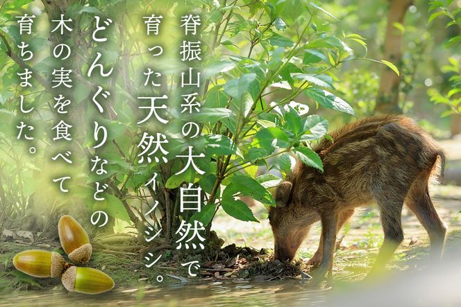 脊振ジビエ イノシシ肉バラエティセット 約1.4kg 【脊振 ロース ばら 肩ロース ミンチ カレー 鍋 セット】(H059118)