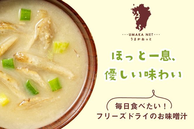 味噌汁 フリーズドライ 業務用 ごぼう 15食 [タムラ 福岡県 宇美町 um40azp050011] お味噌汁 みそ汁 おみそ汁 国産 福岡 インスタント 保存食 クリポス メール便 メール便対応