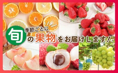 【全7回】糸島厳選くだもの定期便 約5人前 フルーツ 果物 糸島市 / やますえ あまおう シャインマスカット 桃 ライチ [AKA073]