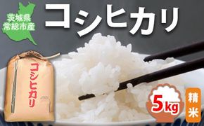 【令和7年産】【精米】コシヒカリ5kg｜茨城県常総市産　精米 米　お米　白米　ご飯　コメ こめ　こしひかり