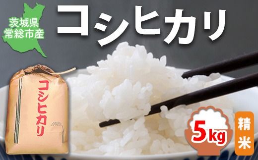 【令和7年産】【精米】コシヒカリ5kg｜茨城県常総市産　精米 米　お米　白米　ご飯　コメ こめ　こしひかり
