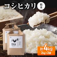 【先行予約】令和8年産 コシヒカリ精米2kg×2袋
