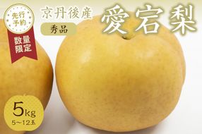 【先行予約／数量限定20】愛宕梨 秀品 5kg（5～12玉入り）（2025年12月上旬～発送）　SF00024