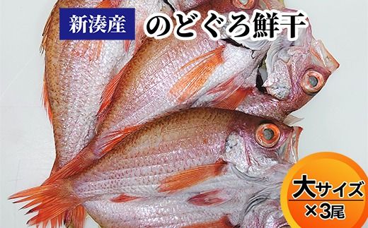 【新湊産】のどぐろ鮮干し（大サイズ3尾）