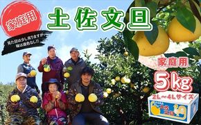 香る！さっぱり！岡林さんの土佐文旦　家庭用5kg
