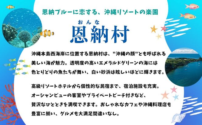 【沖縄県恩納村】HISふるさと納税旅行クーポン 300,000円分