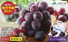 【2026年先行予約】数量限定 訳あり 豊岡ぶどう「ピオーネ」 約300g×2パック ／ ぴおーね ブドウ 葡萄 訳ありぶどう 大粒 強い甘み 爽やかな酸味 新鮮 果物 産地直送 くだもの フルーツ 上品 香り