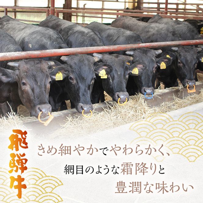 岐阜県海津市産 飛騨牛サーロイン すき焼き・しゃぶしゃぶ用500g 牛肉 お肉 