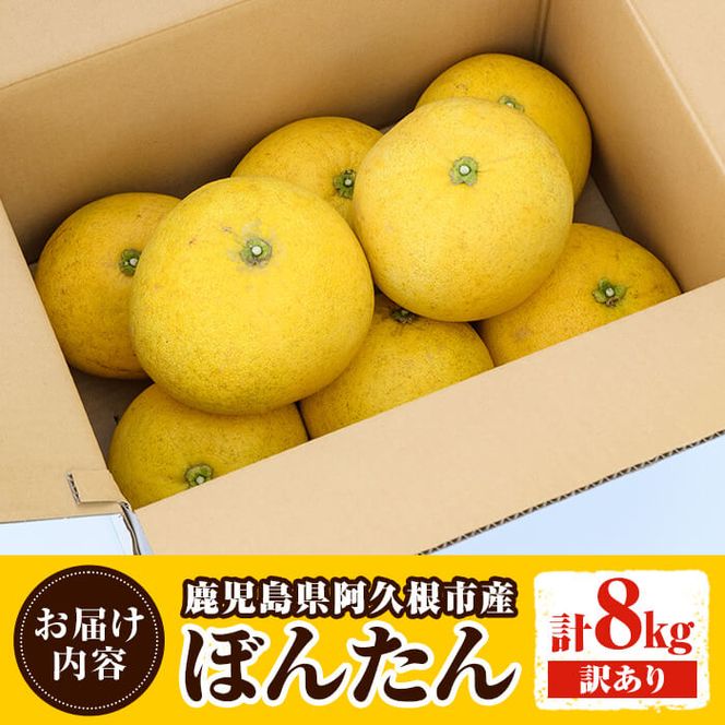 ＜先行予約受付中！2027年1月上旬以降順次発送予定＞訳あり！鹿児島県阿久根市産ボンタン(計8kg)国産 ぼんたん 文旦 柑橘 果物 フルーツ【松永青果】akn053-02