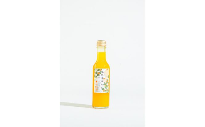 小田原産江之浦みかんスパークリング果汁入り飲料果汁５０％２００ml３０本 142069_GJ110