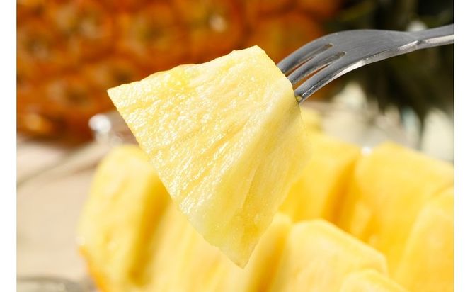 【先行予約】【訳あり】岐阜県瑞穂市のオジイ パイナップル 2kg | パイナップル パイン フルーツ 果物 果実 完熟 ジューシー デザート 訳あり 人気 岐阜 瑞穂市 産地直送 送料無料 ※2027年7月～発送